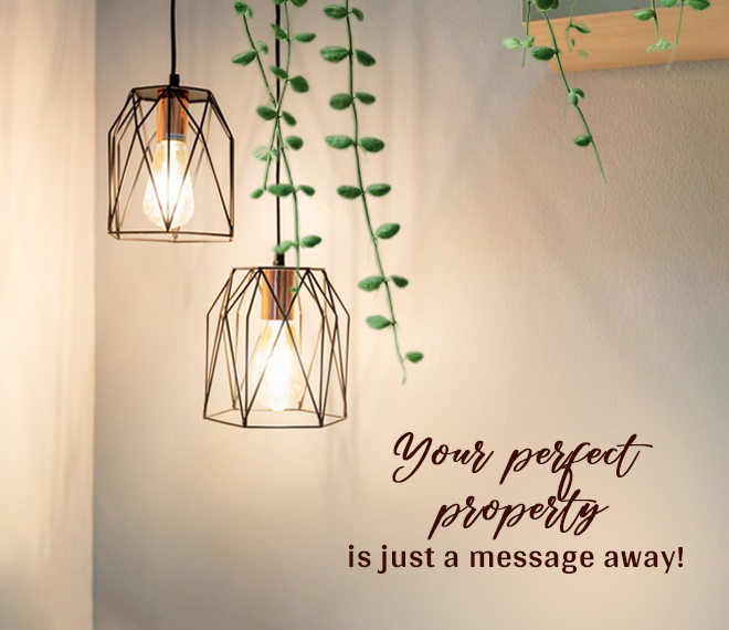 Middle Section Image